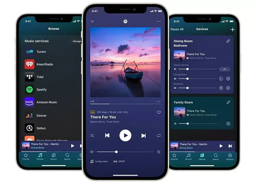 WiiM Home App Mobile Gadget Application
